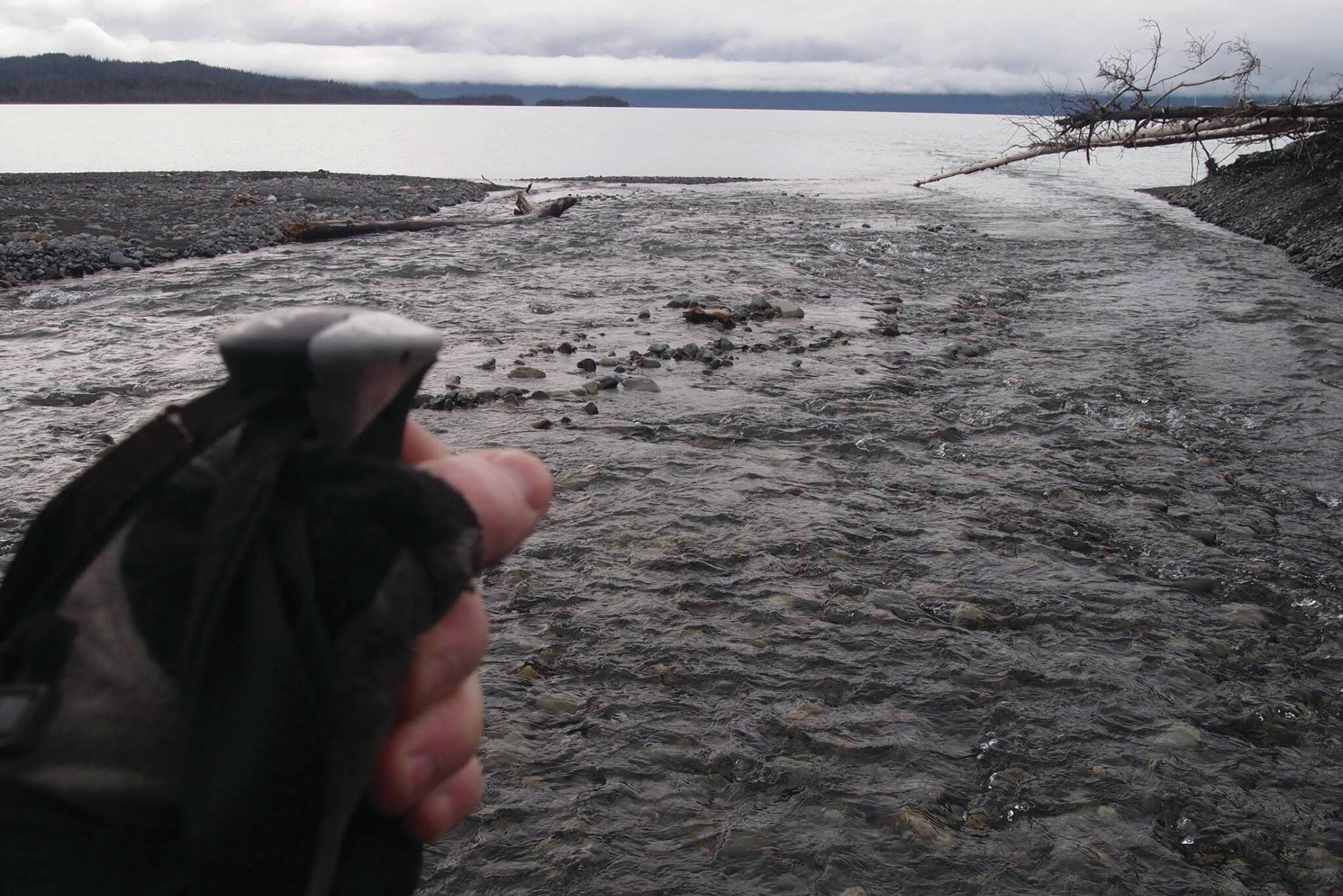 The mouth of Indian Creek in the spring, when the water is shallow and clear. By summertime, it runs faster and is more turbid. The hand and trekking pole at lower left belong to Jim Taylor, who provided this photograph.