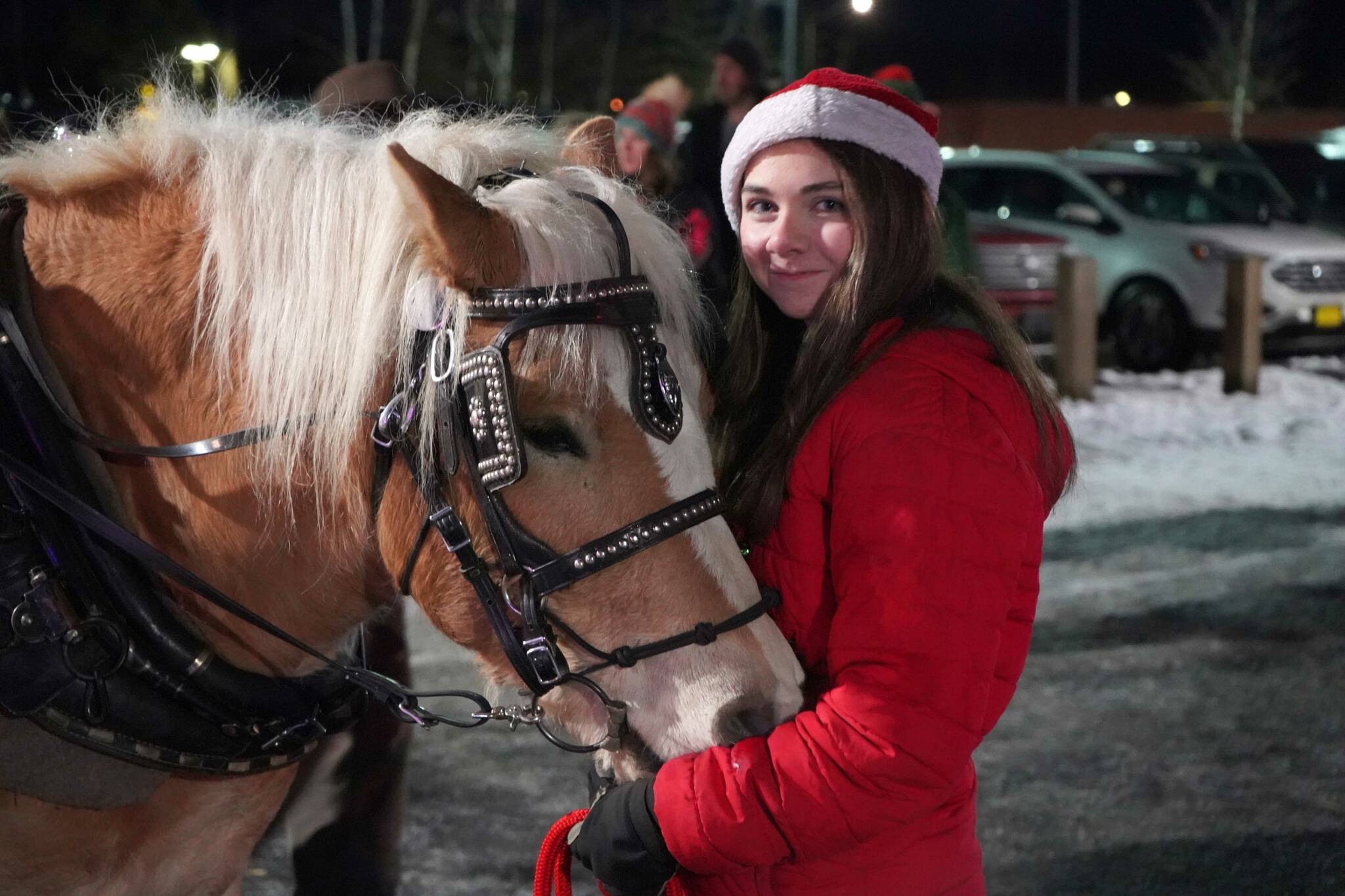 A horse takes a moment with its handler between carriage rides during Christmas in the Park at Soldotna Creek Park in Soldotna, Alaska, on Saturday, Dec. 7, 2024. (Jake Dye/Peninsula Clarion)