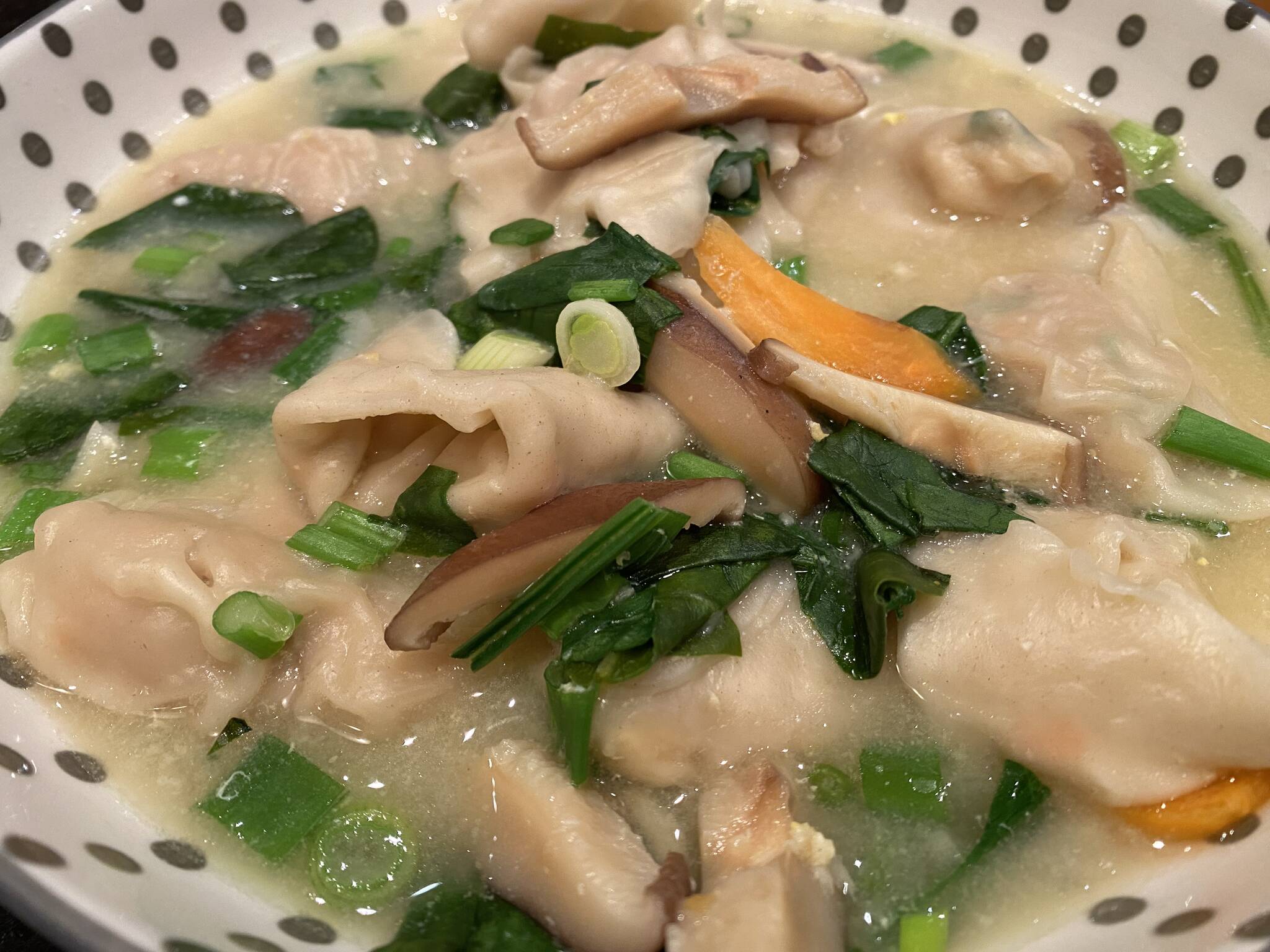 These savory dumplings are delicious steamed, boiled, deep fried, or pan fried and are excellent in soups or added to a bowl of ramen. (Photo by Tressa Dale/Peninsula Clarion)